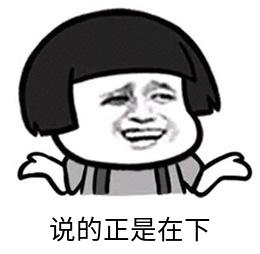 正是在下
